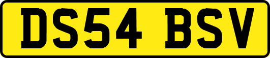 DS54BSV