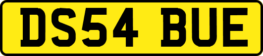 DS54BUE