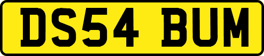 DS54BUM