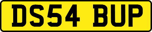 DS54BUP