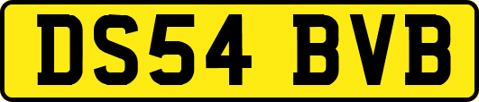 DS54BVB