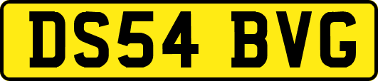 DS54BVG