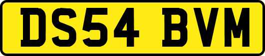 DS54BVM