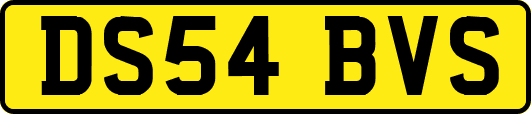 DS54BVS