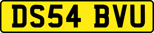 DS54BVU
