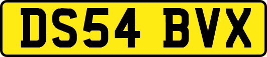 DS54BVX