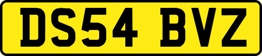 DS54BVZ
