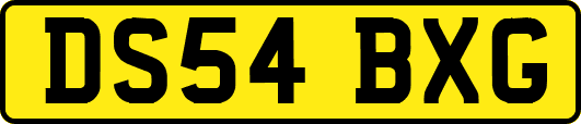 DS54BXG