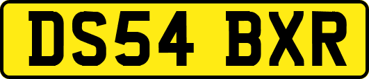 DS54BXR