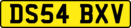 DS54BXV