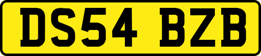 DS54BZB