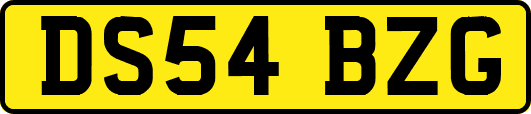 DS54BZG