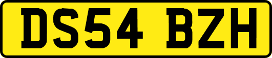 DS54BZH