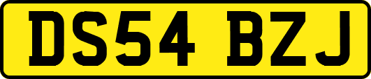 DS54BZJ