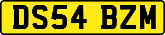 DS54BZM