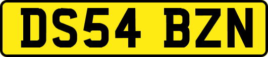 DS54BZN