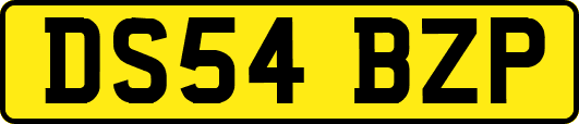 DS54BZP