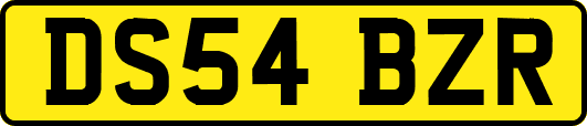 DS54BZR