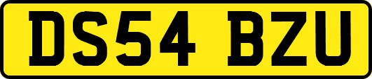 DS54BZU
