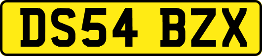 DS54BZX