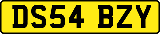 DS54BZY