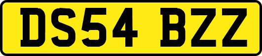 DS54BZZ
