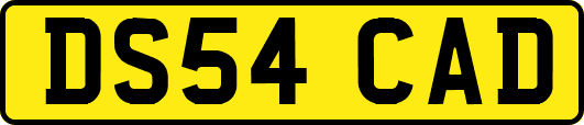 DS54CAD