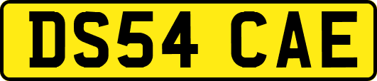 DS54CAE
