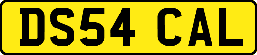 DS54CAL