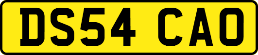 DS54CAO