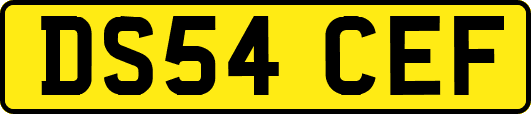 DS54CEF