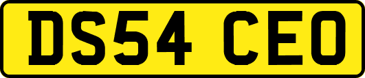 DS54CEO