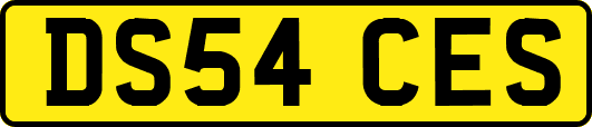 DS54CES