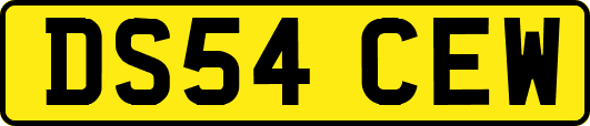 DS54CEW