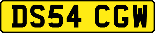 DS54CGW