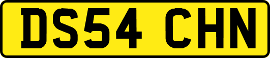 DS54CHN