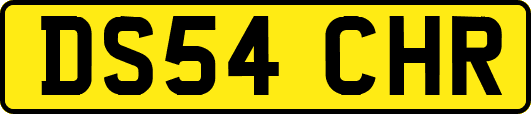 DS54CHR