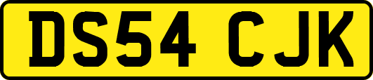 DS54CJK