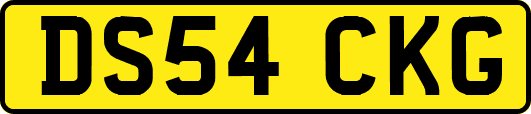 DS54CKG