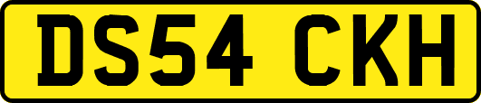 DS54CKH