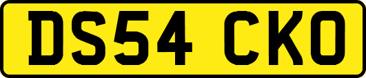 DS54CKO