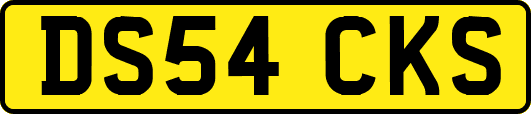 DS54CKS