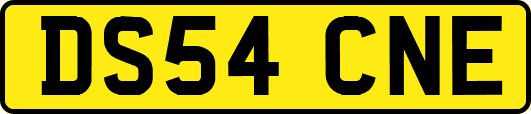 DS54CNE