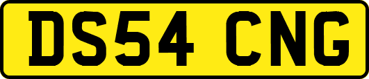 DS54CNG