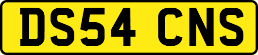 DS54CNS