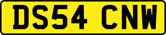 DS54CNW