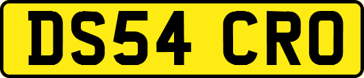 DS54CRO