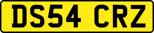 DS54CRZ