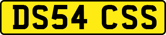 DS54CSS