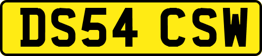 DS54CSW